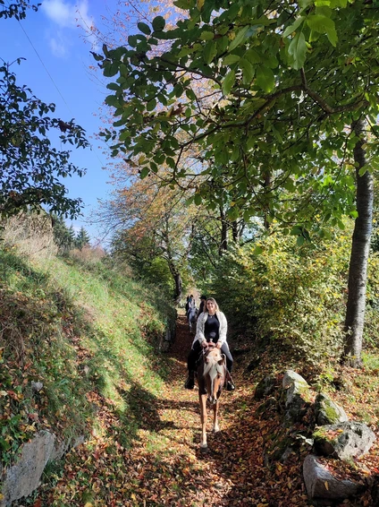 Passeggiata a cavallo con pranzo in rifugio 19 Passeggiata a cavallo con pranzo in rifugio 19